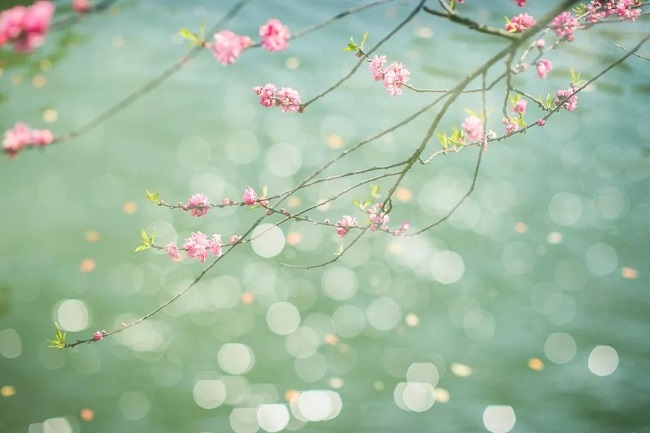 華邦瀛集團(tuán)立春海報