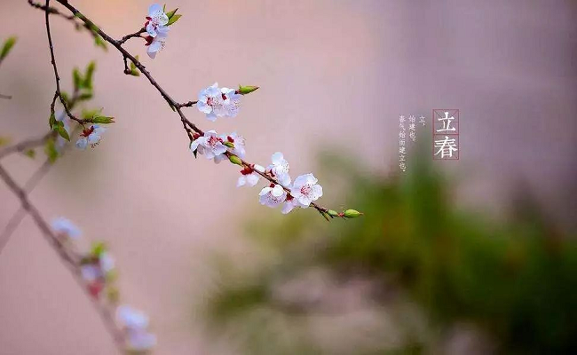 華邦瀛集團(tuán)立春海報